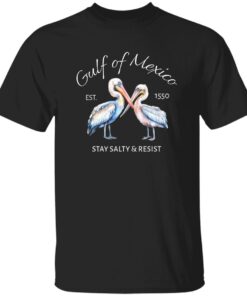 Pelican Gulf Of Mexico Print EST 1550 Stay Salty And Resist T-Shirt