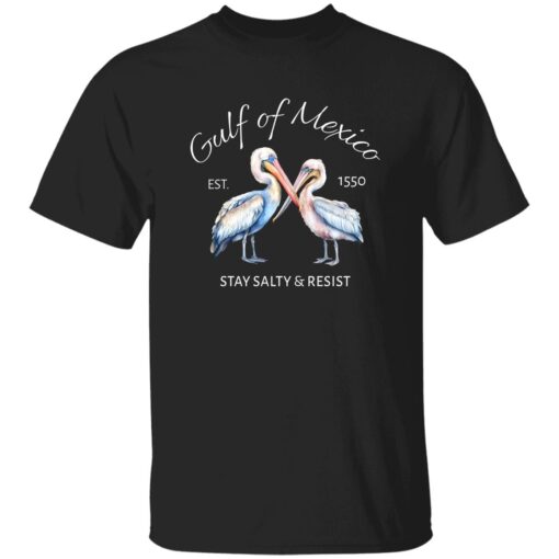 Pelican Gulf Of Mexico Print EST 1550 Stay Salty And Resist T-Shirt
